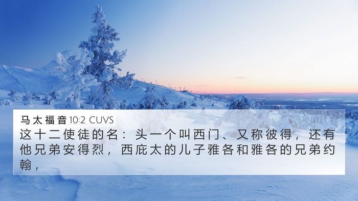 马 太 福 音 10:2 CUVS Bible Verse Image