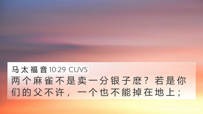马 太 福 音 10:29 CUVS Bible Verse Image