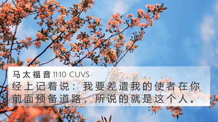 马 太 福 音 11:10 CUVS 4K Wallpaper - 经 上 记 着 说 ： 我 要 差 遣 我 的 - 4K Wallpaper Bible Verse