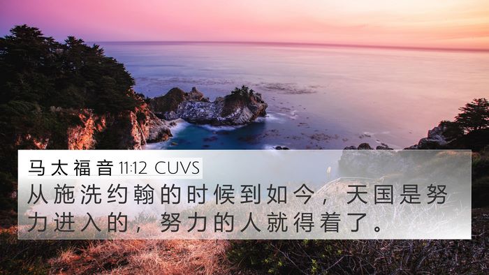 马 太 福 音 11:12 CUVS Bible Verse Image