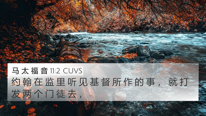 马 太 福 音 11:2 CUVS 4K Wallpaper - 约 翰 在 监 里 听 见 基 督 所 作 的 - 4K Wallpaper Bible Verse