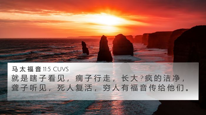 马 太 福 音 11:5 CUVS Bible Verse Image