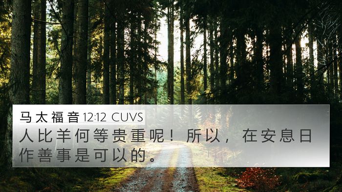 马 太 福 音 12:12 CUVS Bible Verse Image