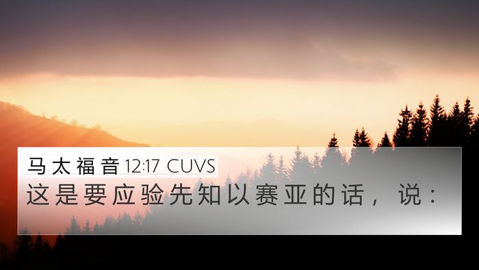 马 太 福 音 12:17 CUVS Bible Verse Image