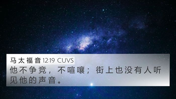 马 太 福 音 12:19 CUVS Bible Verse Image