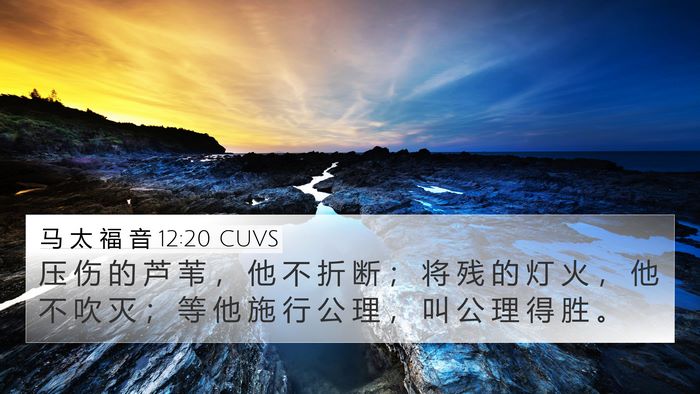 马 太 福 音 12:20 CUVS 4K Wallpaper - 压 伤 的 芦 苇 ， 他 不 折 断 ； 将 - 4K Wallpaper Bible Verse
