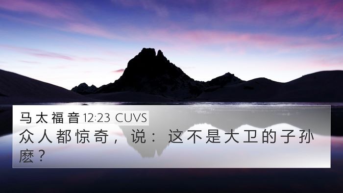 马 太 福 音 12:23 CUVS Bible Verse Image