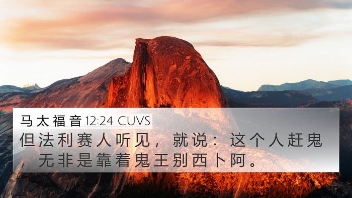 马 太 福 音 12:24 CUVS Bible Verse Image