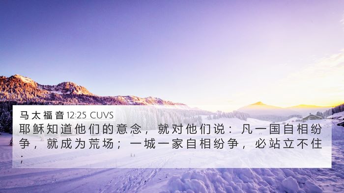 马 太 福 音 12:25 CUVS Bible Verse Image