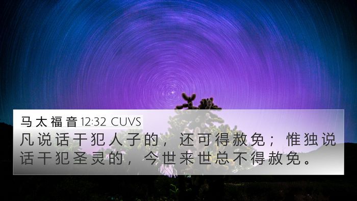 马 太 福 音 12:32 CUVS 4K Wallpaper - 凡 说 话 干 犯 人 子 的 ， 还 可 得 - 4K Wallpaper Bible Verse