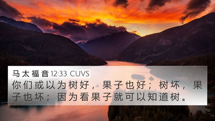 马 太 福 音 12:33 CUVS Bible Verse Image