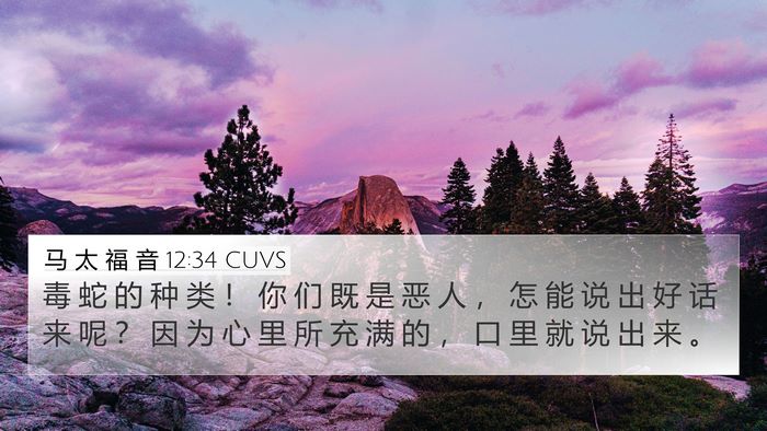 马 太 福 音 12:34 CUVS Bible Verse Image