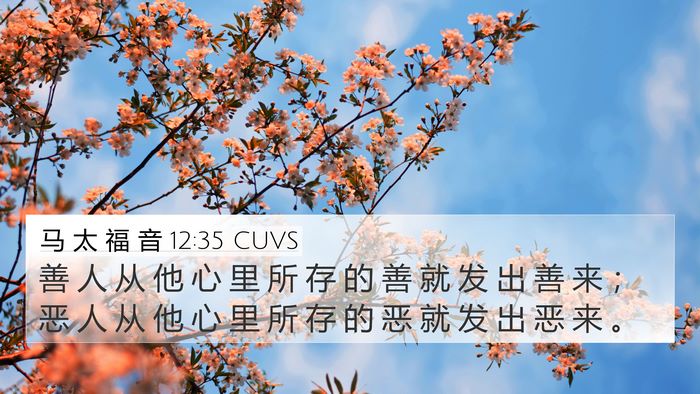 马 太 福 音 12:35 CUVS Bible Verse Image