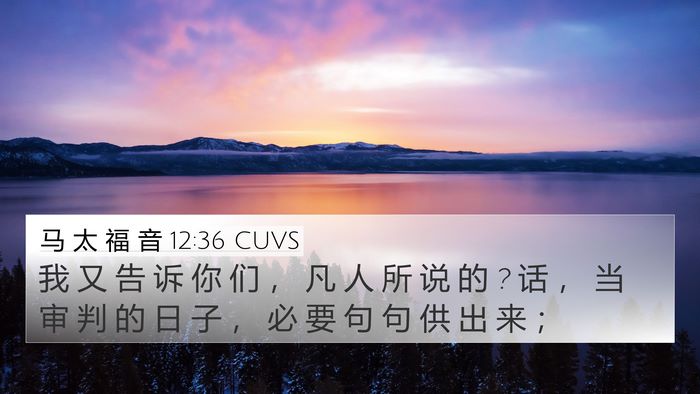 马 太 福 音 12:36 CUVS Bible Verse Image