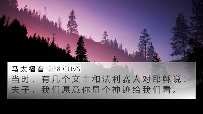 马 太 福 音 12:38 CUVS Bible Verse Image