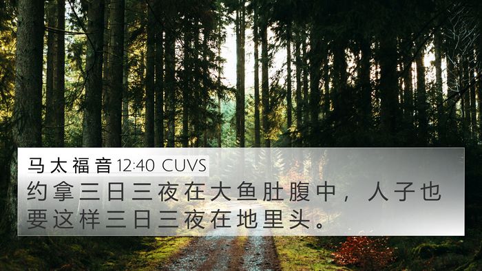 马 太 福 音 12:40 CUVS Bible Verse Image