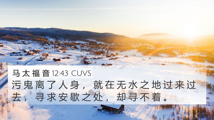 马 太 福 音 12:43 CUVS Bible Verse Image