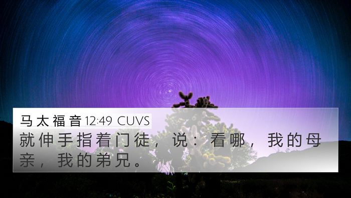 马 太 福 音 12:49 CUVS 4K Wallpaper - 就 伸 手 指 着 门 徒 ， 说 ： 看 哪 - 4K Wallpaper Bible Verse
