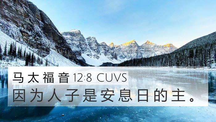 马 太 福 音 12:8 CUVS Bible Verse Image
