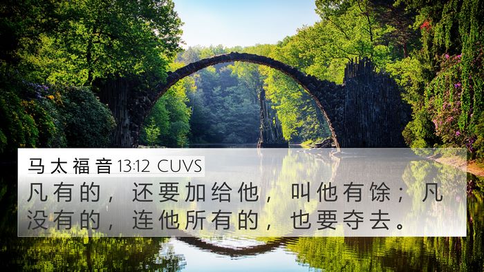 马 太 福 音 13:12 CUVS Bible Verse Image