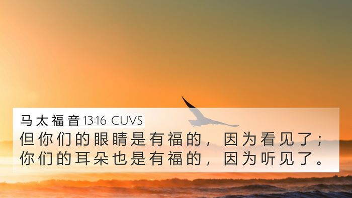 马 太 福 音 13:16 CUVS Bible Verse Image