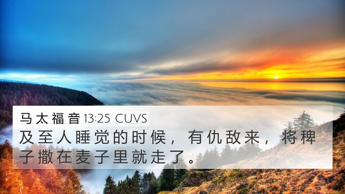 马 太 福 音 13:25 CUVS Bible Verse Image