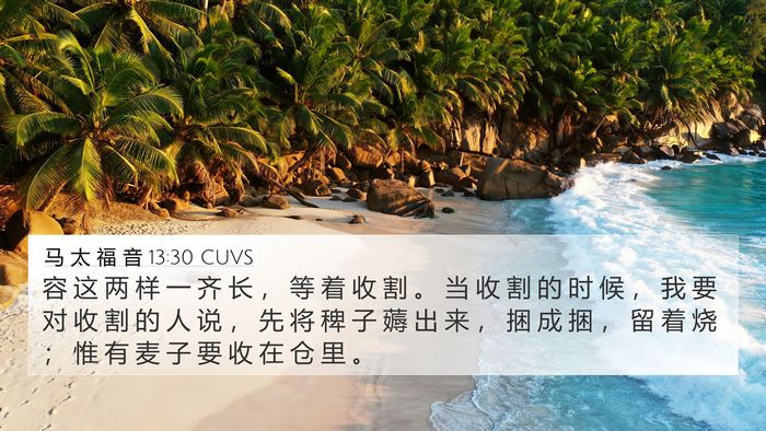 马 太 福 音 13:30 CUVS Bible Verse Image