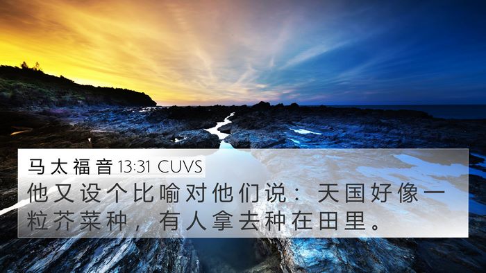 马 太 福 音 13:31 CUVS Bible Verse Image