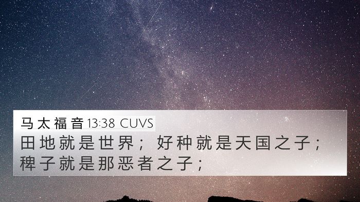 马 太 福 音 13:38 CUVS Bible Verse Image