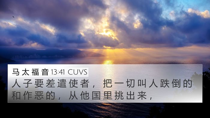 马 太 福 音 13:41 CUVS Bible Verse Image