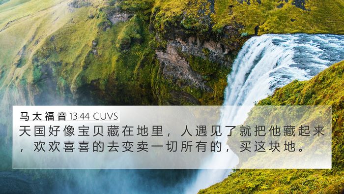马 太 福 音 13:44 CUVS Bible Verse Image