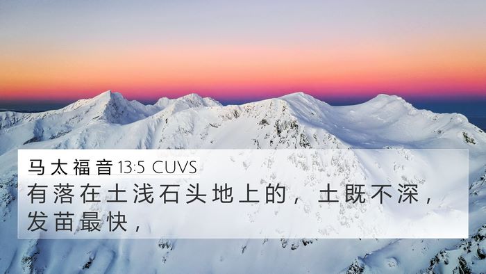 马 太 福 音 13:5 CUVS Bible Verse Image