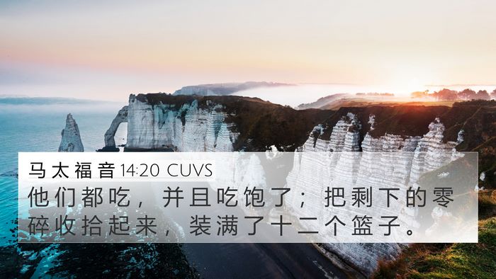 马 太 福 音 14:20 CUVS 4K Wallpaper - 他 们 都 吃 ， 并 且 吃 饱 了 ； 把 - 4K Wallpaper Bible Verse