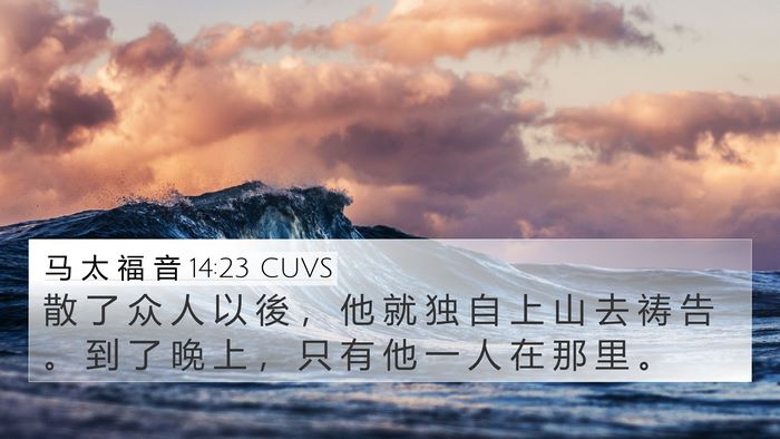 马 太 福 音 14:23 CUVS Bible Verse Image