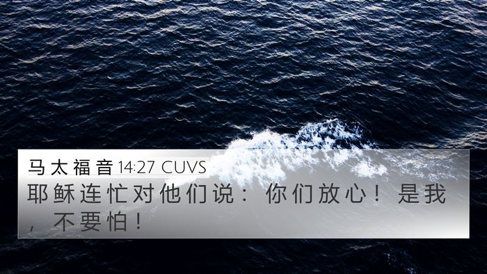 马 太 福 音 14:27 CUVS Bible Verse Image