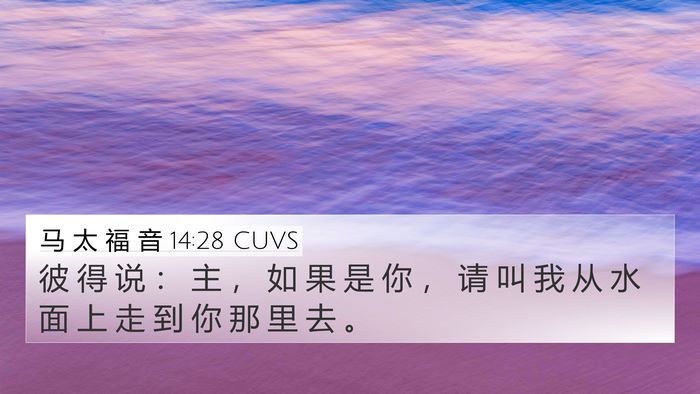 马 太 福 音 14:28 CUVS 4K Wallpaper - 彼 得 说 ： 主 ， 如 果 是 你 ， 请 - 4K Wallpaper Bible Verse