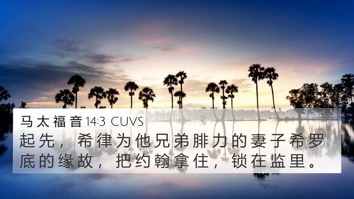 马 太 福 音 14:3 CUVS Bible Verse Image