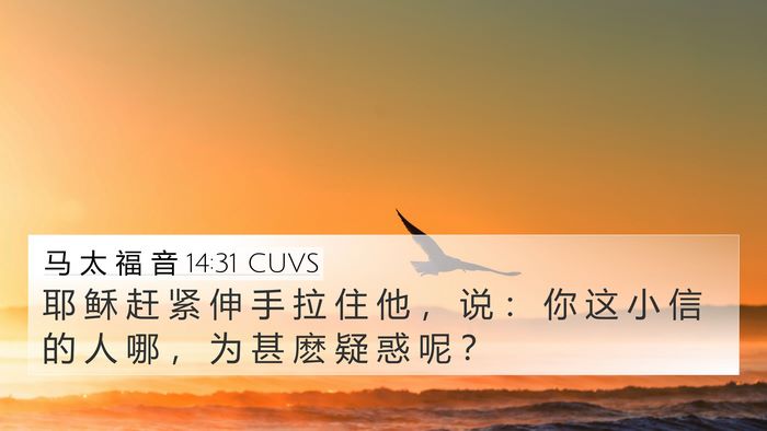 马 太 福 音 14:31 CUVS Bible Verse Image