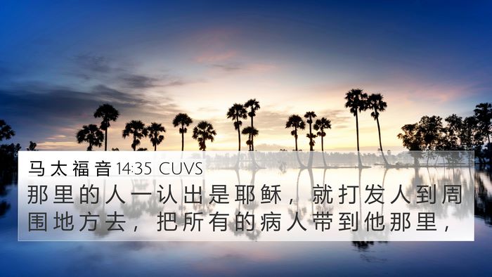 马 太 福 音 14:35 CUVS Bible Verse Image