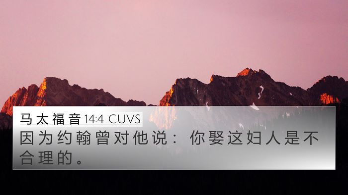 马 太 福 音 14:4 CUVS 4K Wallpaper - 因 为 约 翰 曾 对 他 说 ： 你 娶 这 - 4K Wallpaper Bible Verse