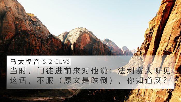 马 太 福 音 15:12 CUVS Bible Verse Image