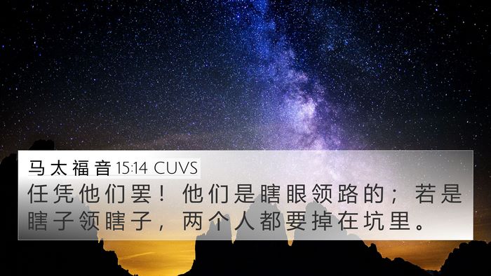 马 太 福 音 15:14 CUVS Bible Verse Image