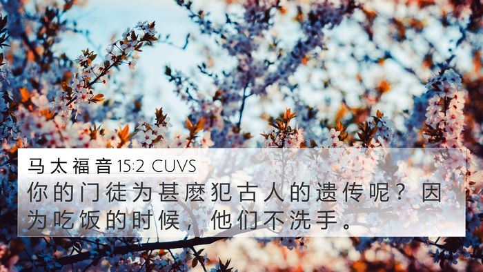 马 太 福 音 15:2 CUVS Bible Verse Image