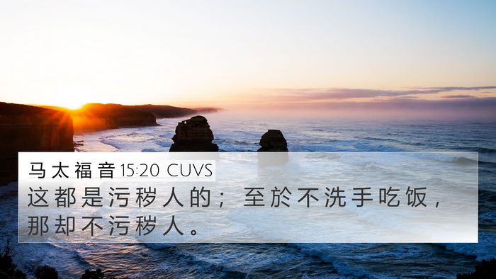 马 太 福 音 15:20 CUVS Bible Verse Image