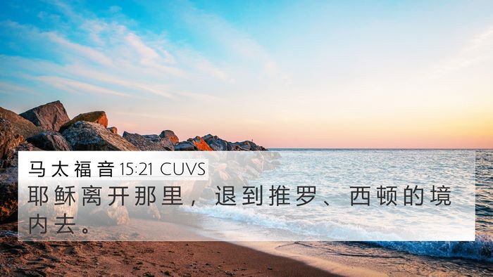 马 太 福 音 15:21 CUVS Bible Verse Image