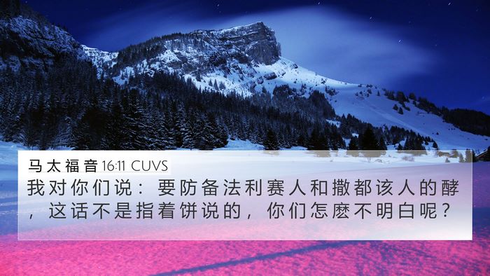 马 太 福 音 16:11 CUVS 4K Wallpaper - 我 对 你 们 说 ： 要 防 备 法 利 赛 - 4K Wallpaper Bible Verse