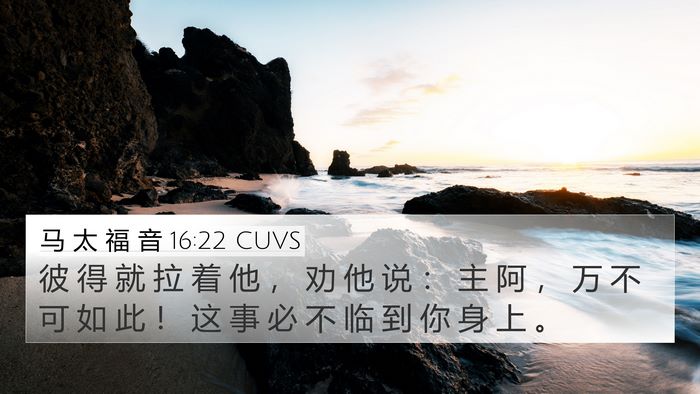 马 太 福 音 16:22 CUVS 4K Wallpaper - 彼 得 就 拉 着 他 ， 劝 他 说 ： 主 - 4K Wallpaper Bible Verse