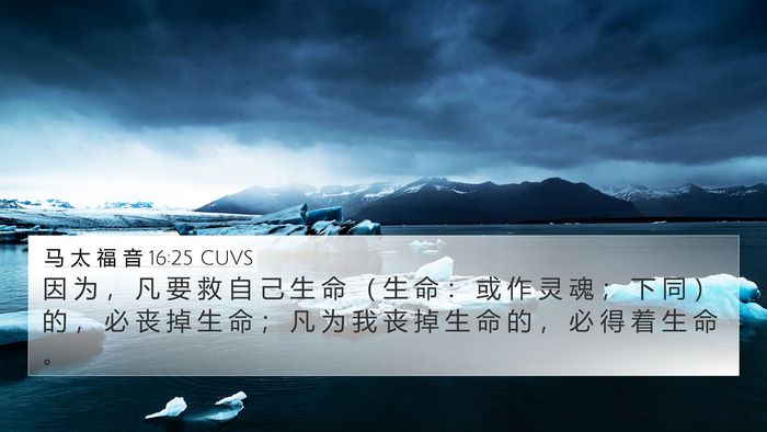 马 太 福 音 16:25 CUVS 4K Wallpaper - 因 为 ， 凡 要 救 自 己 生 命 （ 生 - 4K Wallpaper Bible Verse