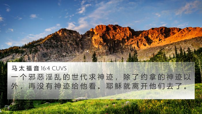马 太 福 音 16:4 CUVS 4K Wallpaper - 一 个 邪 恶 淫 乱 的 世 代 求 神 迹 - 4K Wallpaper Bible Verse