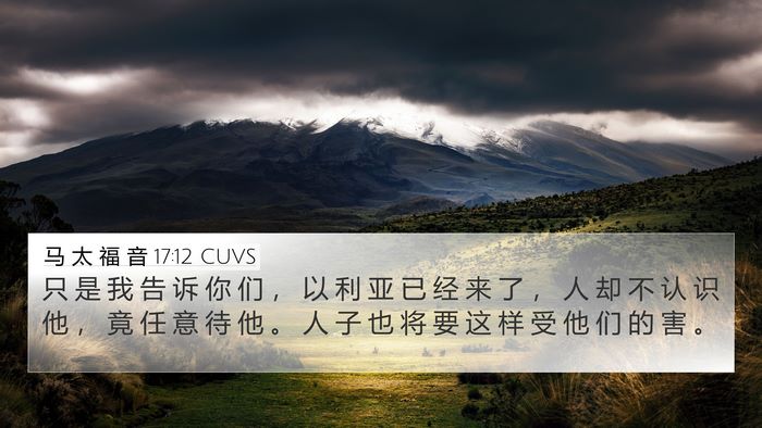 马 太 福 音 17:12 CUVS Bible Verse Image